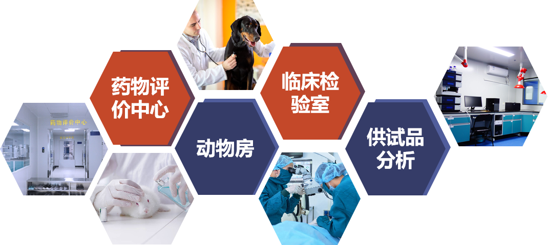 古天乐代言太阳集团(中国)-搜狗百科