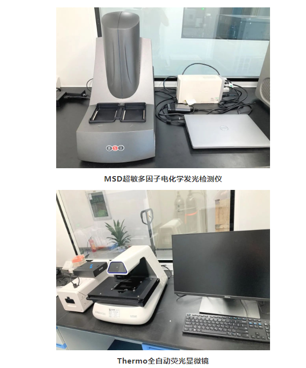 古天乐代言太阳集团(中国)-搜狗百科