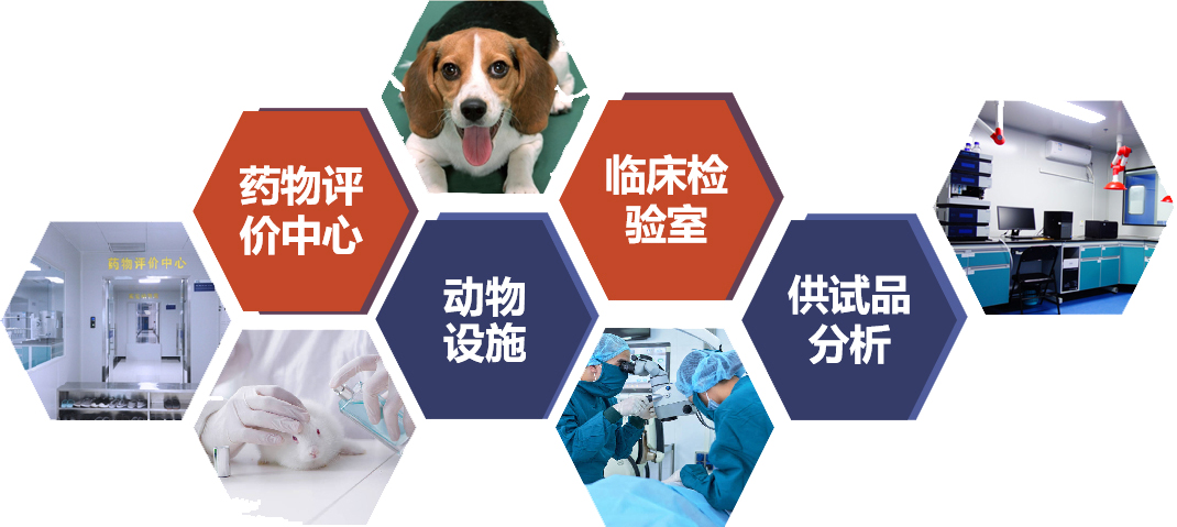 古天乐代言太阳集团(中国)-搜狗百科